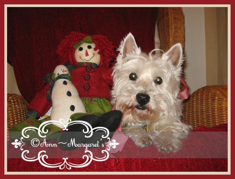 merry christmas tucker raggedyann