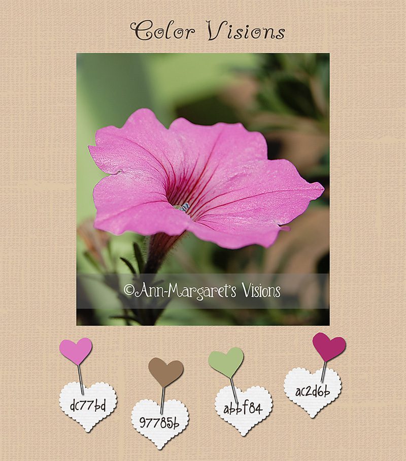 pink flower color vision