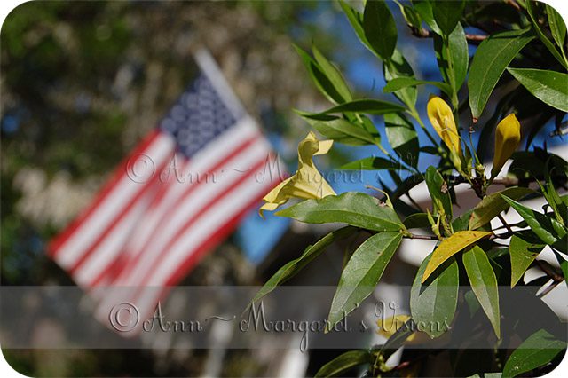 flagwthyellowflower2