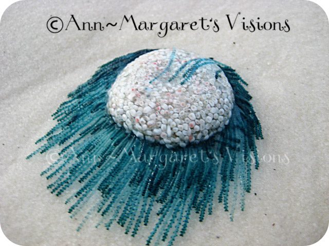 blue button jellyfish