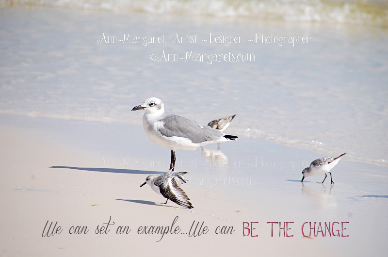 seagulls-be-the-change-inspiration
