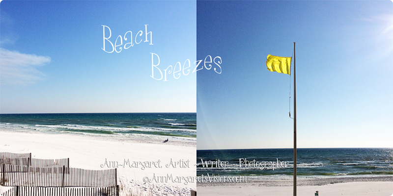 beach-breezes-february-windy-florida-ocean